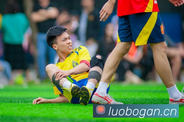 星空体育首页官网APP 封面图